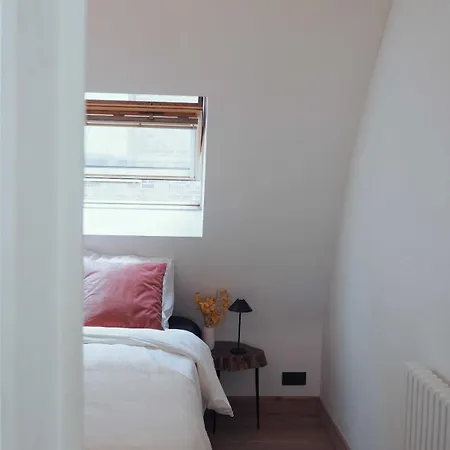 Penthouse In The Center Gent